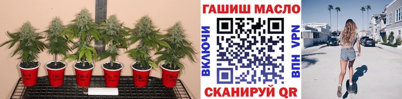 Дистиллят ТГК вейп с тгк  Георгиевск 