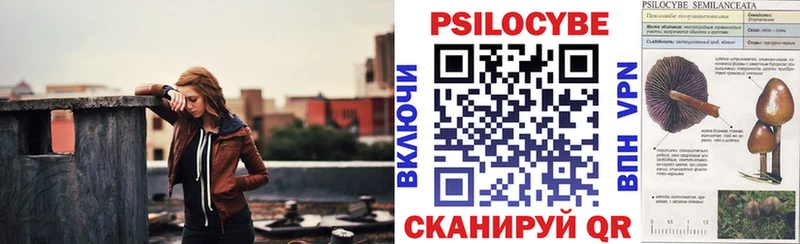 Псилоцибиновые грибы Psilocybe  Георгиевск 